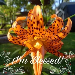 Meet your Posher, Denice